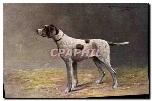 Cartes postales Chasse Chien