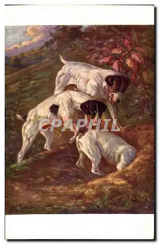 Cartes postales Chasse Chien Chiens