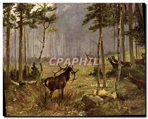Cartes postales Chasse Biches Cerf