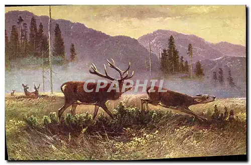 Cartes postales Chasse Cerf Biche