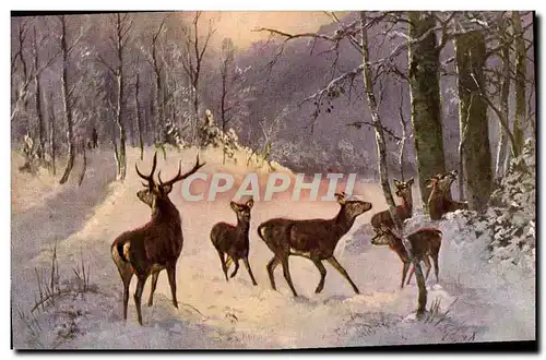 Cartes postales Chasse Cerf Biches