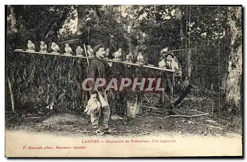 Cartes postales Chasse Landes Chasseurs de palombes Les appeaux TOP