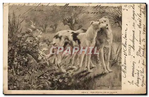 Cartes postales Chien Chiens Levrier Levriers