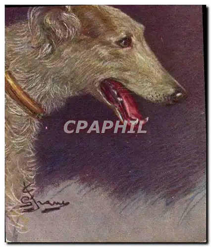 Cartes postales Chien Chiens Levrier