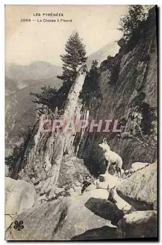Cartes postales Chasse Les Pyrenees La chasse a l&#39Isard