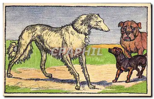 Cartes postales Chien Chiens