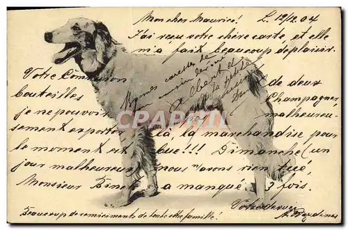 Cartes postales Chien Chiens