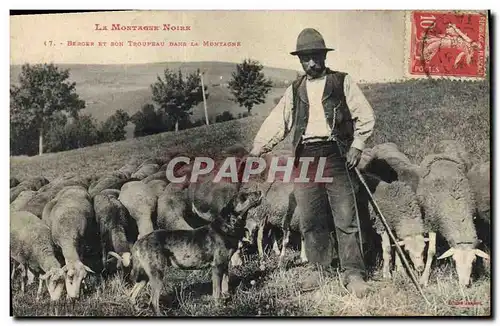 Cartes postales Chien Chiens La montagne noire Berger et son troupeau dans la montagne TOP Moutons Folklore
