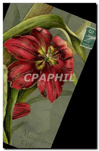 Cartes postales Fantaisie Fleurs