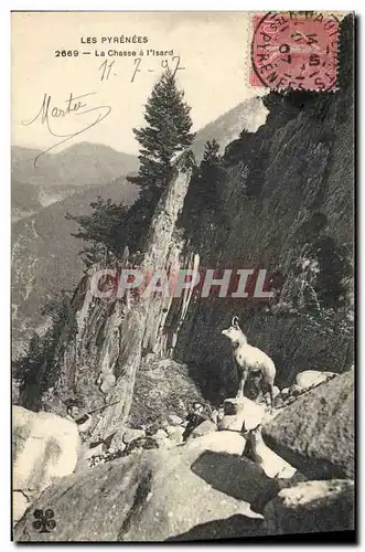 Ansichtskarte AK Chasse Pyrenees La chasse a l&#39Isard Chasseur