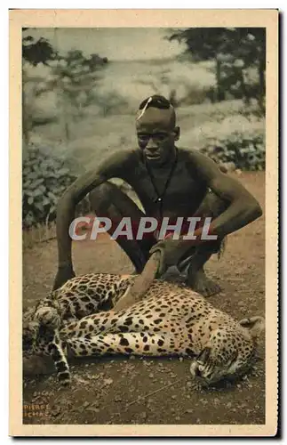Cartes postales Chasse Compagnie Generale de Navigation a vapeur Cyp Fabre Une panthere Mayo Kebi Afrique Equato