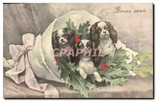 Cartes postales Fantaisie Illustrateur Chiens