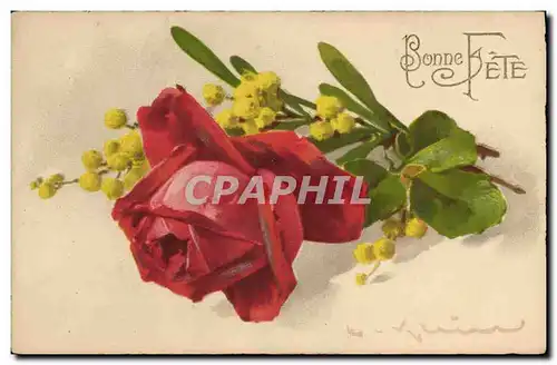 Cartes postales Klein Fleurs