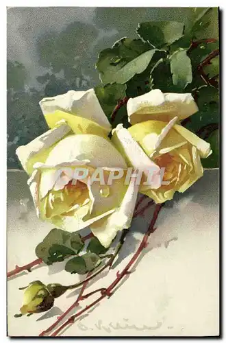 Cartes postales Klein Fleurs