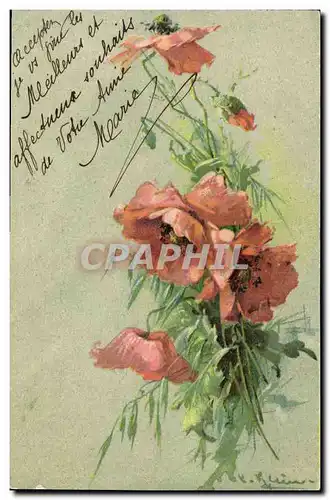 Cartes postales Klein Fleurs