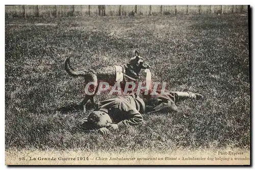 Cartes postales Chiens Chien ambulancier secourant un blesse Militaria Croix Rouge