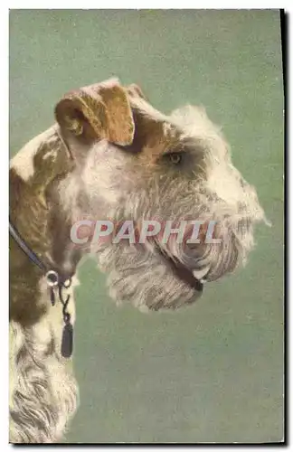 Cartes postales Chiens Chien