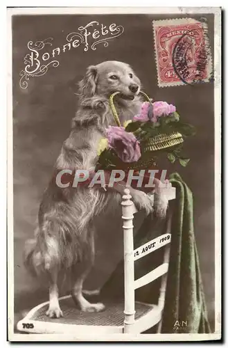 Cartes postales Chiens Chien