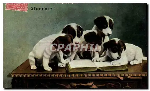 Cartes postales Chiens Chien Students