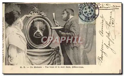 Cartes postales Chiens Chien Un molosse Pas beau et la dent dure