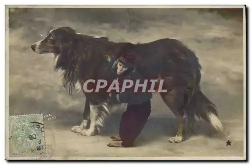 Cartes postales Chiens Chien Singe