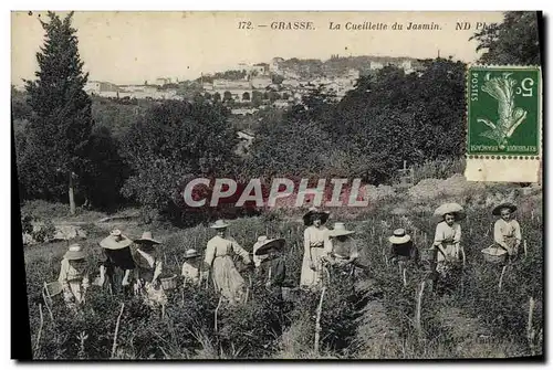 Ansichtskarte AK Cueillette du jasmin Cote d&#39Azur