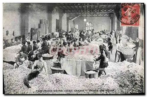 Cartes postales Cueillette Parfumerie Bruno Court Grasse Triage des roses