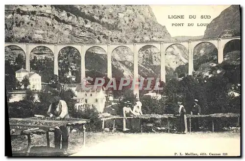 Cartes postales Cueillette Ligne du Sud Pont du loup TOP