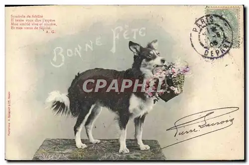 Cartes postales Chien Chiens