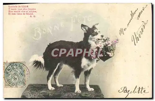 Cartes postales Chien Chiens