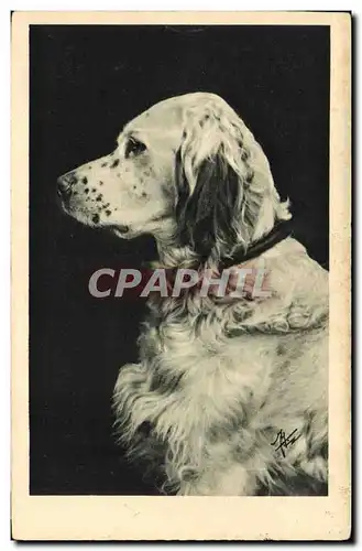 Cartes postales Chien Chiens