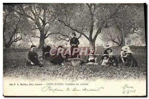 Ansichtskarte AK Cueillette des violettes Cote d&#39Azur