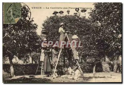 Cartes postales Cueillette des fleurs d&#39orangers Vence