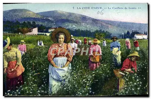 Cartes postales Cueillette du jasmin Cote d&#39Azur