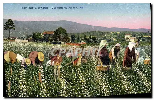 Cartes postales Cueillette du jasmin Cote d&#39Azur