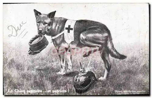 Cartes postales Chien Chiens Le chien sanitaire et patriote Croix Rouge Militaria