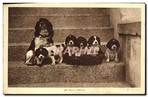 Cartes postales Chien Chiens Une belle famille