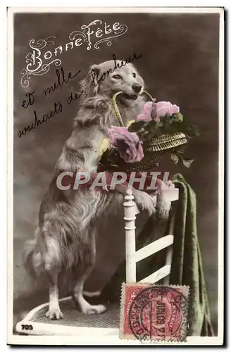 Cartes postales Chien Chiens Bonne fete