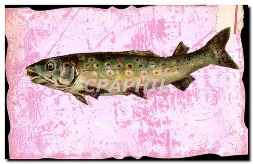 Cartes postales Fantaisie Poisson Poisson