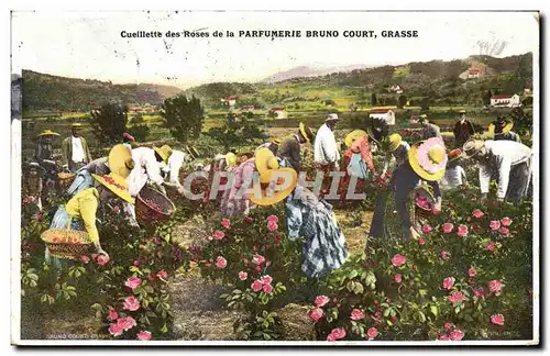 Cartes postales Cueillette des roses de la Parfumerie Bruno Court Grasse