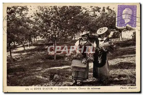Cartes postales Cueillette Cote d&#39Azur Costumes locaux Champ de mimosas