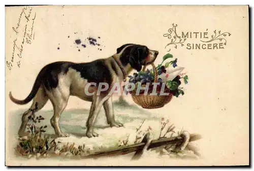 Cartes postales Fantaisie Chien