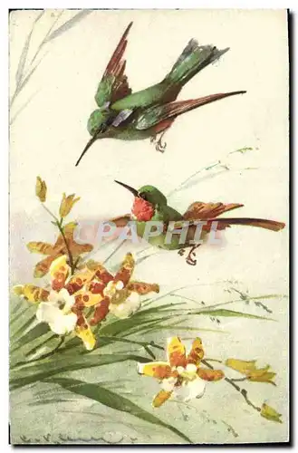 Ansichtskarte AK Fantaisie Illustrateur Fleurs Oiseaux