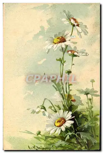 Cartes postales Fantaisie Illustrateur Fleurs