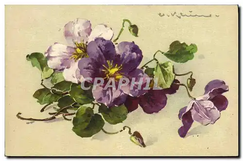 Cartes postales Fantaisie Illustrateur Fleurs