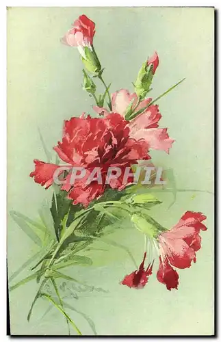 Cartes postales Fantaisie Illustrateur Fleurs