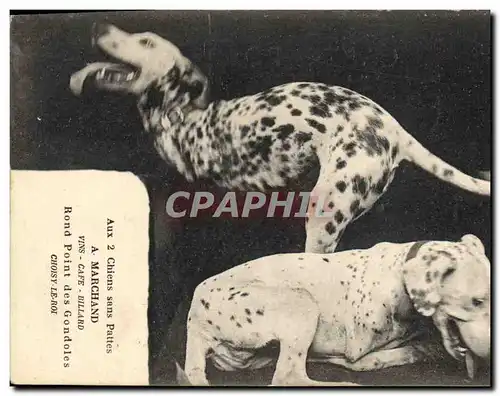 Cartes postales Chien Chiens sans pattes Marchand Rond Point des gondoles Choisy le ROI TOP