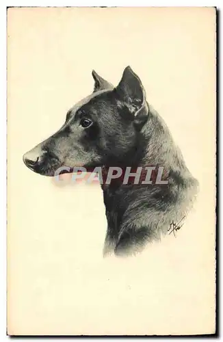 Cartes postales Chien Chiens