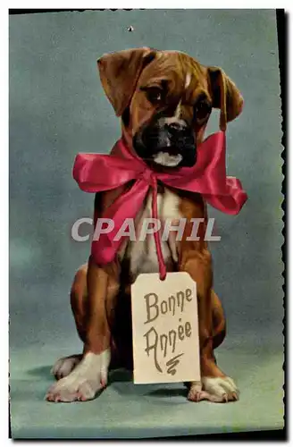 Cartes postales moderne Chien Chiens