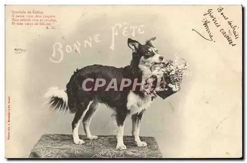 Cartes postales Chien Chiens